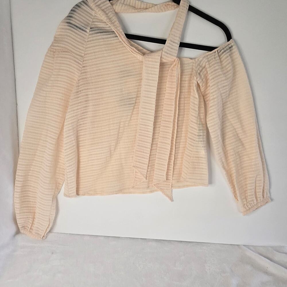 Zara Trafaluc Sheer Off-Shoulder Top – Brand New with Tags, Size Small